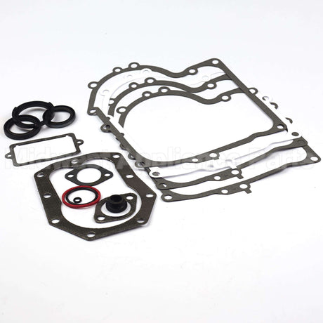 494241 Briggs & Stratton Gasket Set-Engine