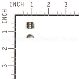 494553 Briggs & Stratton Keeper-Valve