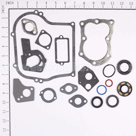 495603 Briggs & Stratton Gasket Set-Engine