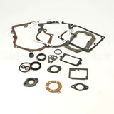 495868 Briggs & Stratton Gasket Set-Engine