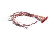 49775 Henny Penny Wire Assembly-Control To Relay