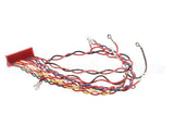 49775 Henny Penny Wire Assembly-Control To Relay