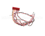 49775 Henny Penny Wire Assembly-Control To Relay