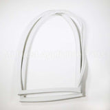 4987JJ1010G LG Gasket Assembly,Door