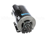 49K81 Lennox 115/230V 1 1/2Hp 1725Rpm Motor