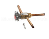 4A0229-05 Hoshizaki Cp Regulator