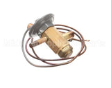 4A1594-01 Hoshizaki Expansion Valve