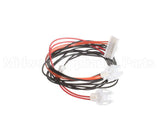 4A4950G01 Hoshizaki Wire Harness (K1)