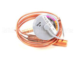 4A5165-01 Hoshizaki Valve - Expansion