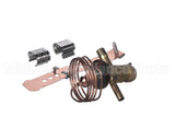 4A7211-01 Hoshizaki Valve Txv