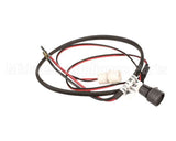 2055731 Beverage Air Module Wiring Harness