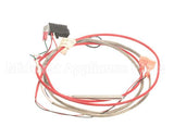 1080657SP Frymaster Harness,Gl30 Aif/Locator P2 Dv