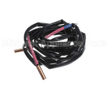 5009498 Daikin Thermistor Assembly