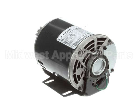 5009598 Multiplex Motor Carb Pump 120V Or 220V