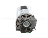 5009598 Multiplex Motor Carb Pump 120V Or 220V