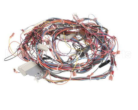 50107 Blodgett Harness,Bcx14E Manu Rear 24V