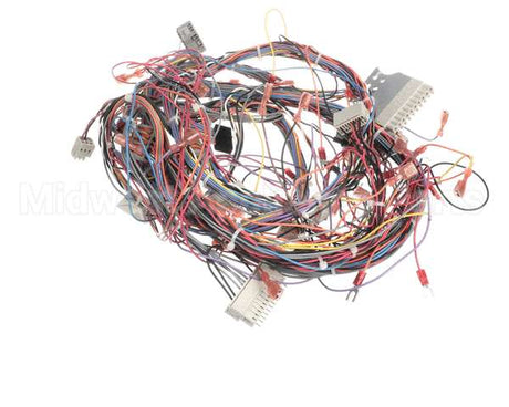 50107 Blodgett Harness,Bcx14E Manu Rear 24V
