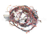50107 Blodgett Harness,Bcx14E Manu Rear 24V