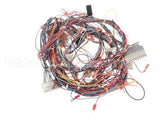 50107 Blodgett Harness,Bcx14E Manu Rear 24V