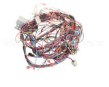 50107 Blodgett Harness,Bcx14E Manu Rear 24V