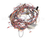 50107 Blodgett Harness,Bcx14E Manu Rear 24V