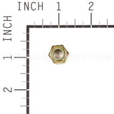 5025096SM Briggs & Stratton Nut 3/8-16 Hex Nylon