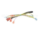 502817 Duke Harness,Wire Oven Lights