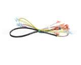 502817 Duke Harness,Wire Oven Lights