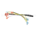 502817 Duke Harness,Wire Oven Lights