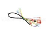 502817 Duke Harness,Wire Oven Lights