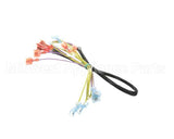 502817 Duke Harness,Wire Oven Lights