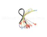 502817 Duke Harness,Wire Oven Lights