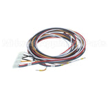 5028831 Alto Shaam Cable, Combined Gas Valve &