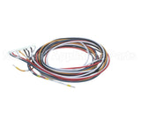 5028831 Alto Shaam Cable, Combined Gas Valve &