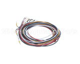 5028831 Alto Shaam Cable, Combined Gas Valve &