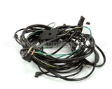 504-788C Beverage Air Harness - Wire Ucf48