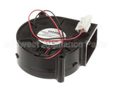 50569.0000 Bunn Fan Assembly, Blower 75Mm With Terminals