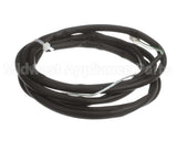 5056948 Convotherm Thermocouple Probe Boiler 1700
