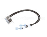 50599402 Victory Thermostat,Heater Safety,Ec Version