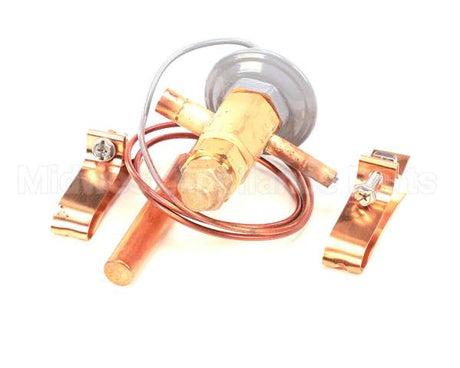 50794905 Victory Valve Expansion Efj-1/8-C 2Sx3 Odf 3