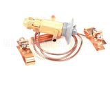 50794906 Victory Valve Expansion Efj-1/4-C 2Sx3 Odf 3