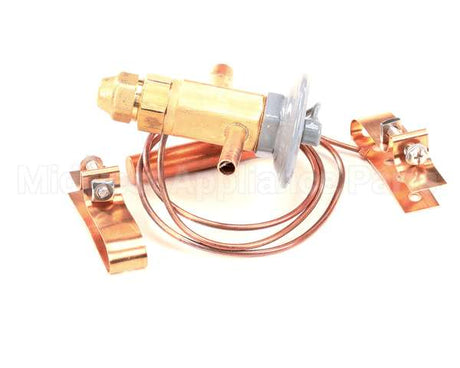 50794906 Victory Valve Expansion Efj-1/4-C 2Sx3 Odf 3