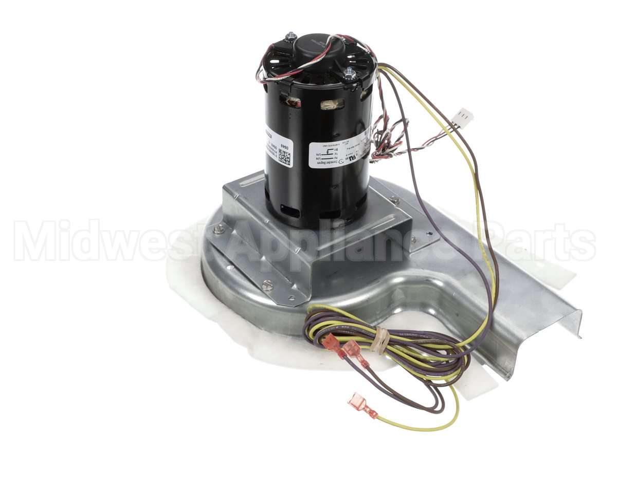 50DK406815 Bryant Payne Combustion Blower Motor