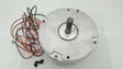51-102500-04 Rheem-Ruud 1/5Hp 208/230V 825Rpm 1Spd Mtr