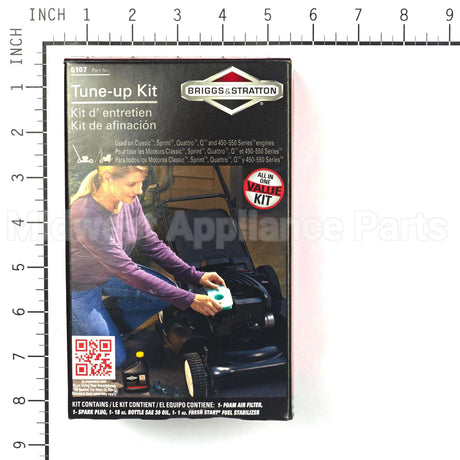 5107B Briggs & Stratton Maintenance Kit