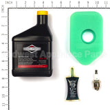 5107B Briggs & Stratton Maintenance Kit