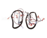 512299 Duke Harness,Proofer Lgts.&Bpr