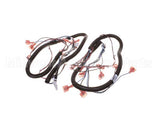 512299 Duke Harness,Proofer Lgts.&Bpr