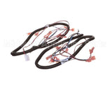 512299 Duke Harness,Proofer Lgts.&Bpr