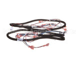 512299 Duke Harness,Proofer Lgts.&Bpr